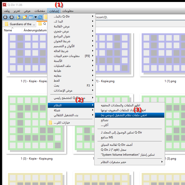 كيف يمكنني إظهار وإخفاء الملفات المحمية وملفات النظام في Quad File Explorer